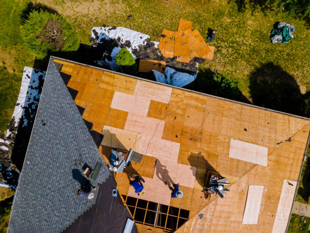 Best Flat Roof Repair Services  in Orange Grove, TX
