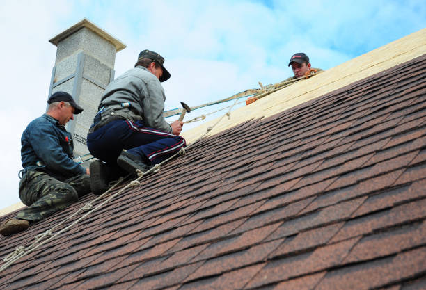 Best Gutter Installation and Roofing  in Orange Grove, TX